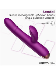 Sendel Vibrador con Anillo de Bolas Internas Up and Down y Pulsación con App