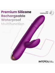 Sendel Vibrador con Anillo de Bolas Internas Up and Down y Pulsación con App