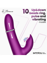 Sendel Vibrador con Anillo de Bolas Internas Up and Down y Pulsación con App