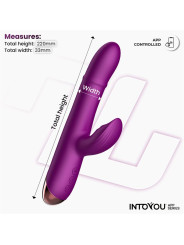 Sendel Vibrador con Anillo de Bolas Internas Up and Down y Pulsación con App