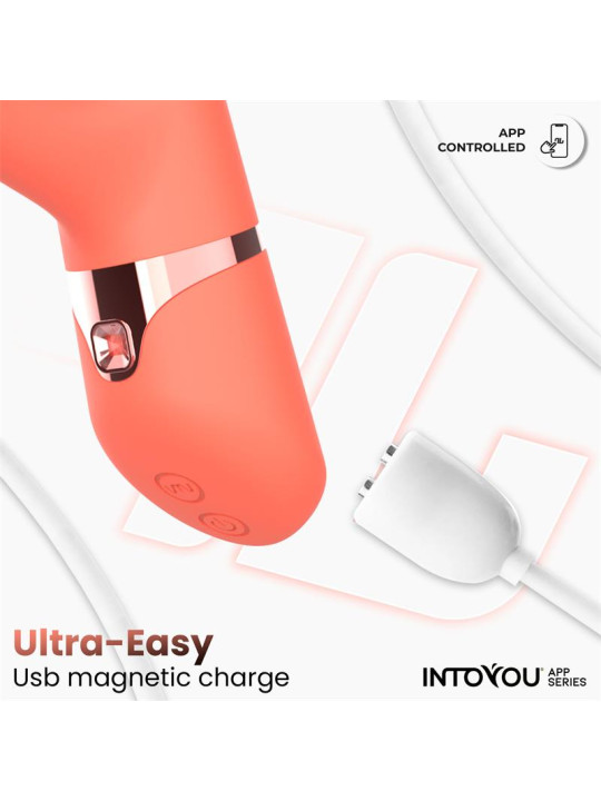 Mindy Vibrador con Anillo de Bolas Up and Down - Juguetes XXX