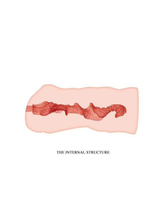 Linda Masturbador Vagina Fresh Surface