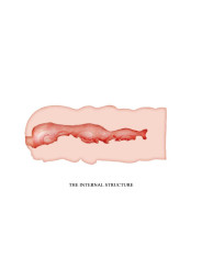 Isabel Masturbador Vagina Fresh Surface