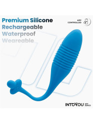 Huevo con Up and Down (Thrusting) y APP USB