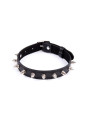 Collar con Pinchos Ajustable 43 cm Negro