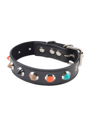 Collar con Puas 46.5 cm