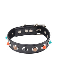 Collar con Puas 46.5 cm