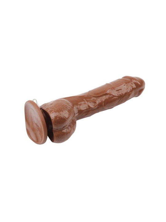 Vibrador Jeff Stryker 8.9 Marron