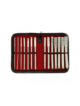 Set de Dilatadores de Uretra 14 piezas