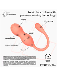 Kyra Entrenador de Suelo Pélvico con Sensor de Presión y APP