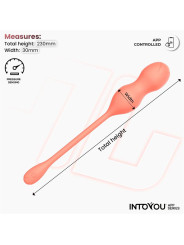 Kyra Entrenador de Suelo Pélvico con Sensor de Presión y APP