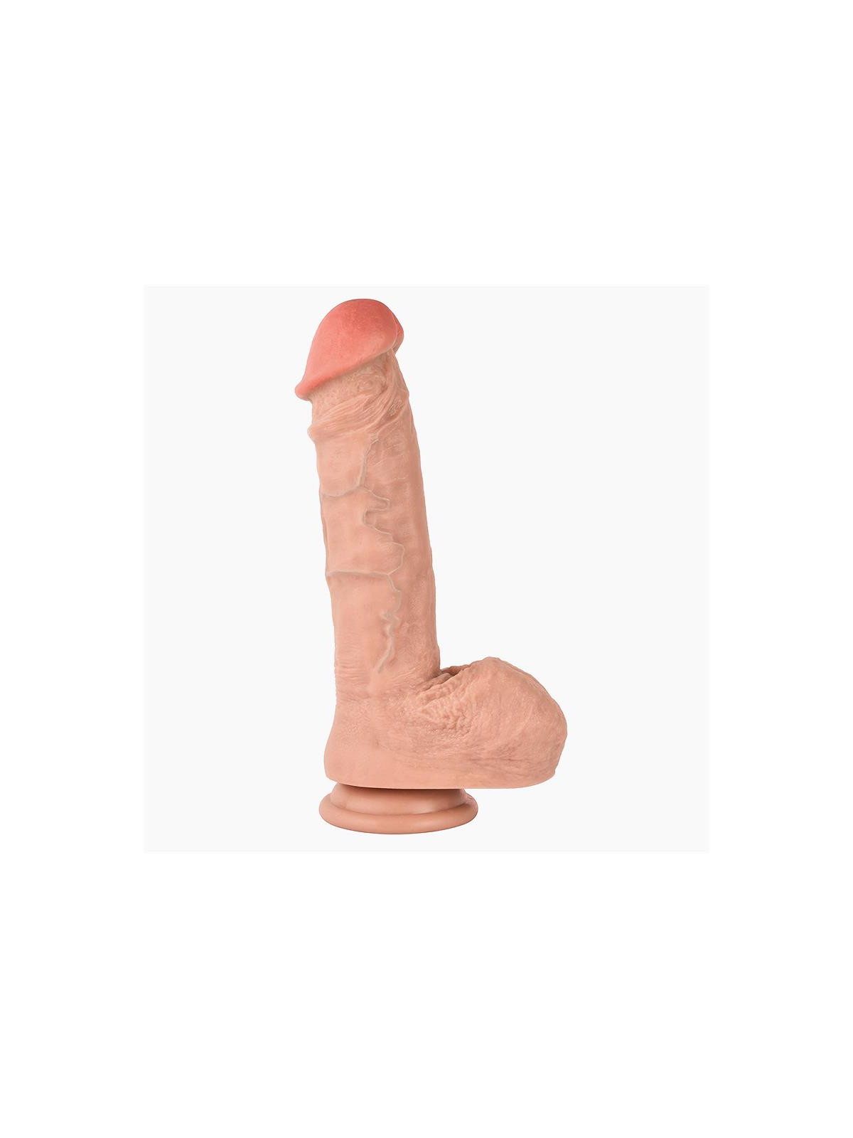 Armand L Dildo Dual Density 26 cm - 10.2