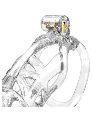 Jaula para el Pene PC11 Transparente