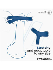 Rank Anillo Vibrador con App Azul