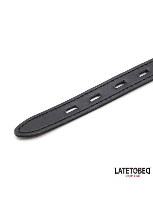 Mordaza Bola Silicona Rosa