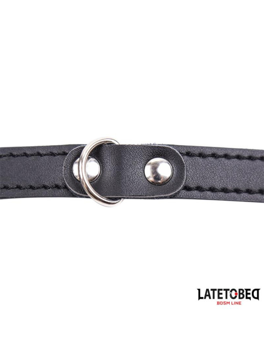 Jaula Pene Talla Única