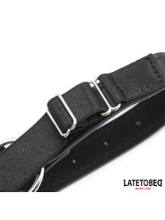 Arnés Cabeza con Mordaza y Gancho Nariz