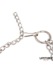 Pinzas Pezones con Anillo para Pene Talla Única