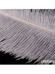 Pluma Estimuladora 44 cm