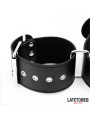Collar y Esposas Ajustables