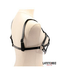 Arnés de Pecho Ajustable