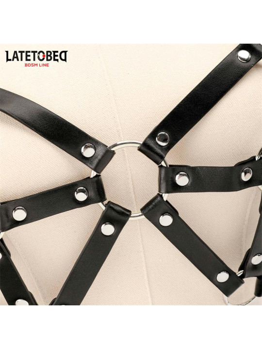 Arnés de Pecho Ajustable