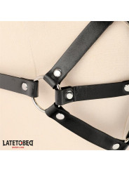 Arnés de Pecho Ajustable