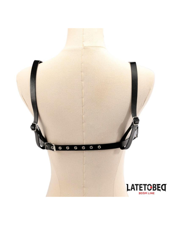 Arnés de Pecho Ajustable