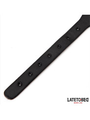 Collar con Cascabel y Correa