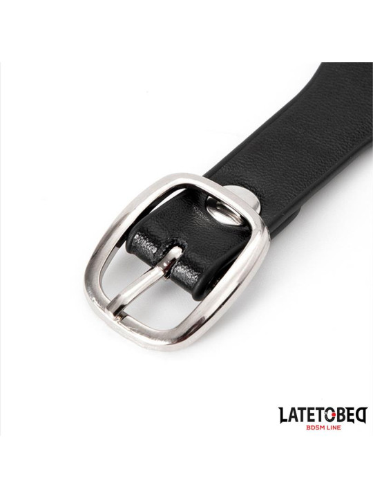 Collar con Cascabel y Correa