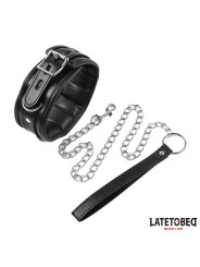 Collar con Correa Acolchado