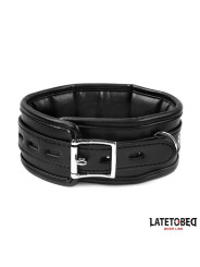 Collar con Correa Acolchado