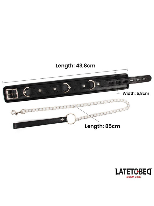 Collar con Correa Acolchado