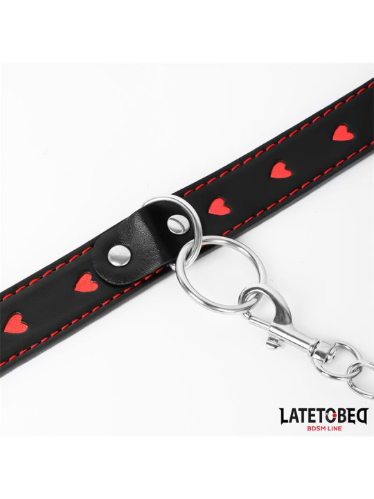 Collar con Correa 52 cm