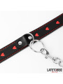 Collar con Correa 52 cm