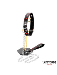 Collar con Correa 52 cm