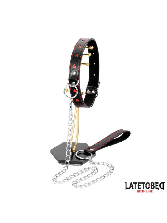 Collar con Correa 52 cm