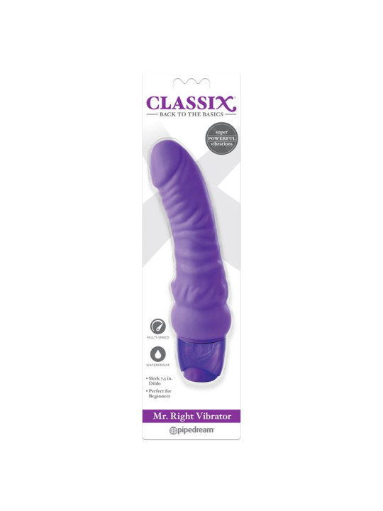 Vibrador Mr. Right Purpura