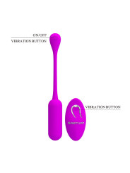 Lechies Huevo Vibrador con Control Remoto USB