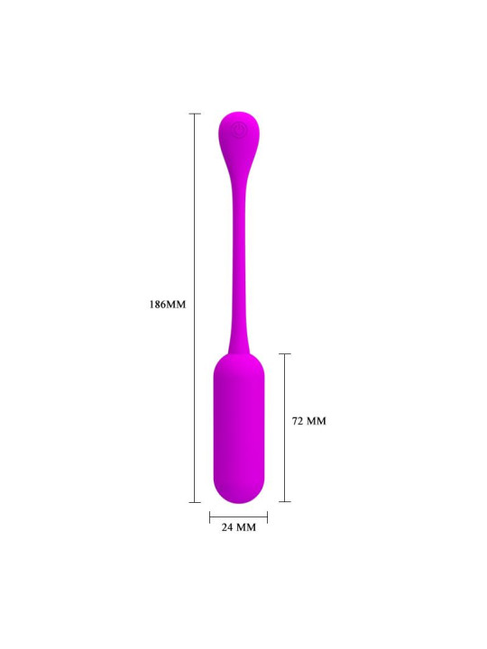 Lechies Huevo Vibrador con Control Remoto USB