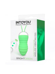 Brightgreen Huevo Vibrador Control Remoto USB Silicona