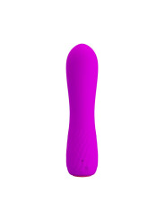 Estimulador Beau USB Purpura