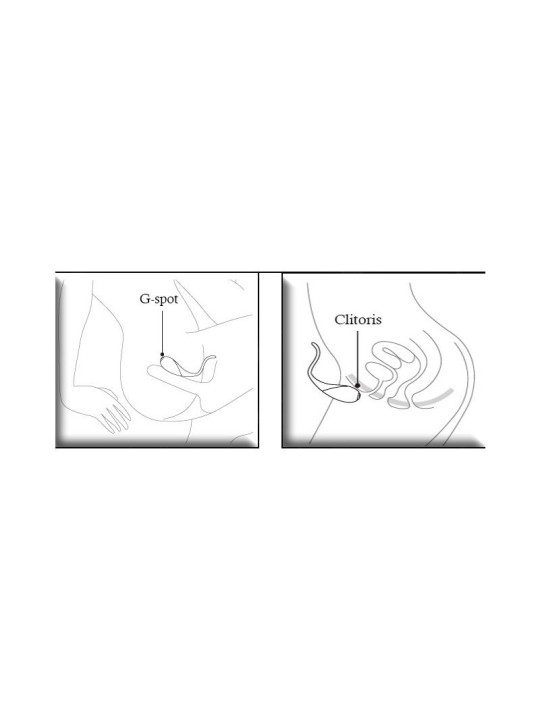 Estimulador Parejas CoCo Fuchsia