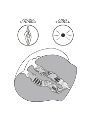 Masturbador Streetgirls 13