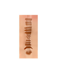 Masturbador Masculino Vagina Regina Skin