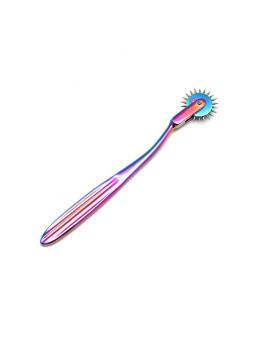 Rueda de Dolor Multicolor 1