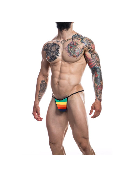 C4M12 Briefkini Arcoiris Rainbow