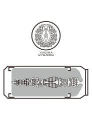 Lata Masturbadora Vagina Wild Ale