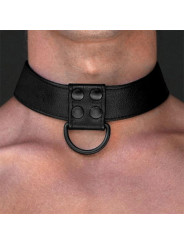 Collar con Correa Negro Mate