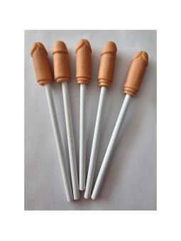 5 Lapices con Punta de Pene